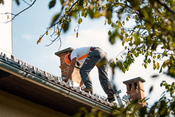 Best Storm Damage Roof Repair  in Wamac, IL