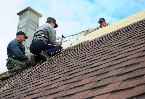 Gutter Installation and Roofing in Wamac, IL